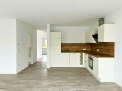 Küche_Weiss_Holz_Neubau